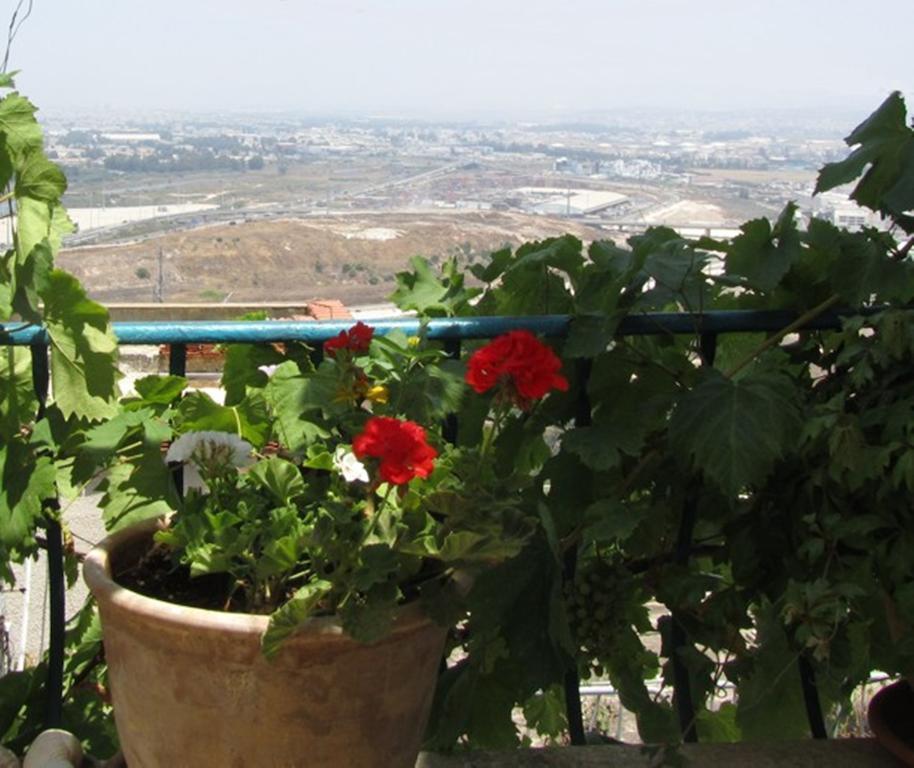 The Artist'S House Overlooking The Bay Of Haifa Eksteriør billede